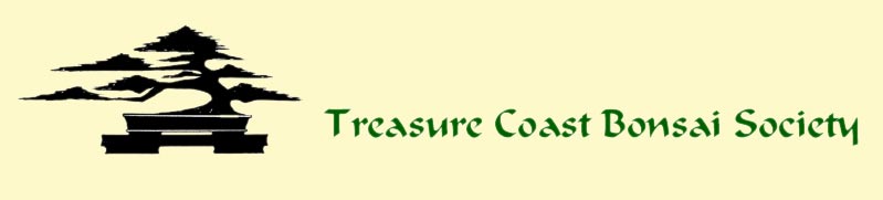 Treasure Coast Bonsai Society logo
